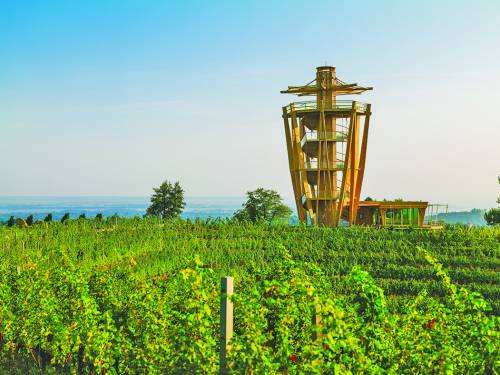 novost knjiga dobrih vina vinski magazin vino fino