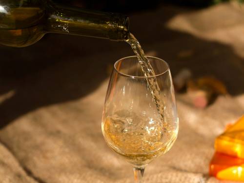 novost lažna kosovska vina u hrvatskim supermarketima vinski magazin vino fino