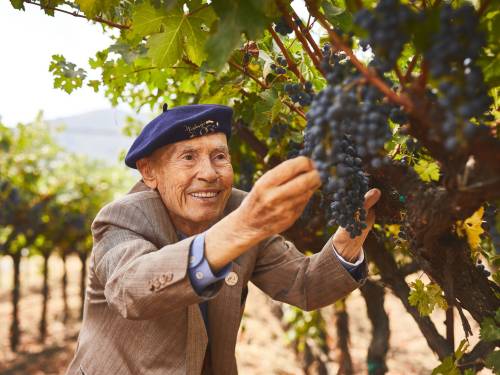 novost legendarni vinar miljenko grgić umro je u 101 godini vinski magazin vino fino