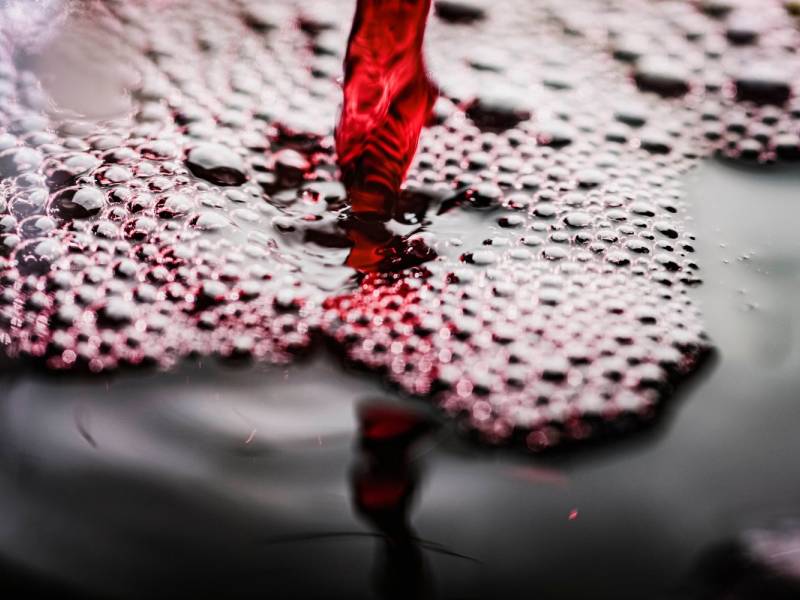 novost ljubičasti snovi vinski magazin vino fino