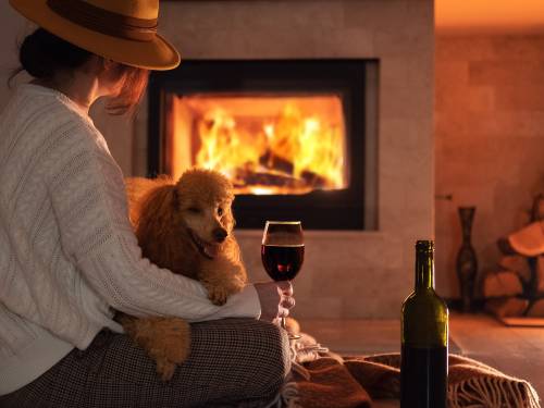 novost ljubitelji crvenog vina vole pse a belog - mačke vinski magazin vino fino