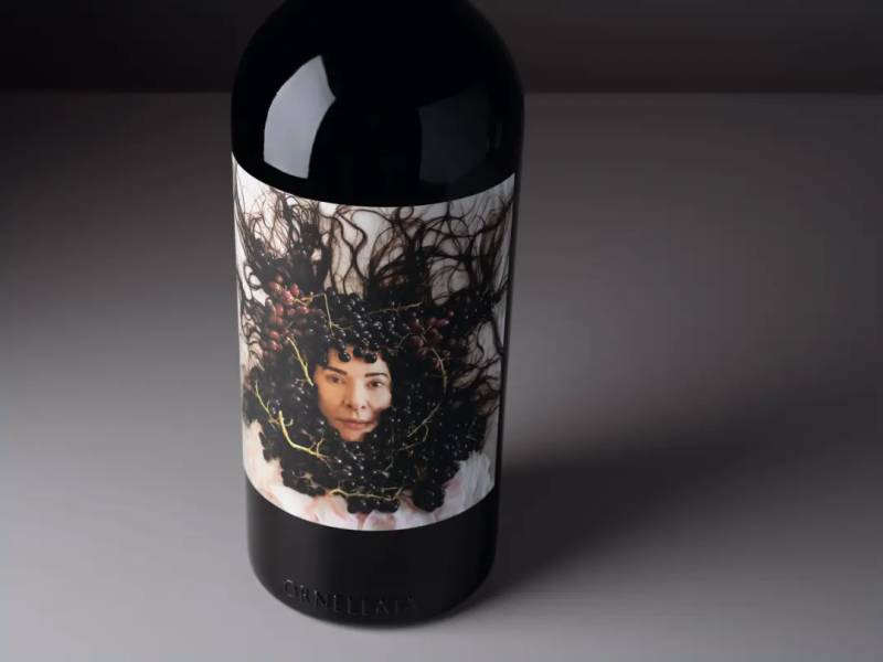 novost marina abramović na etiketi vina ornellaia vinski magazin vino fino