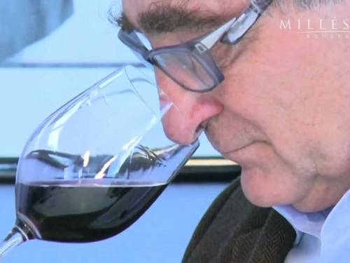 novost marketing je danas postao deo teroara vinski magazin vino fino