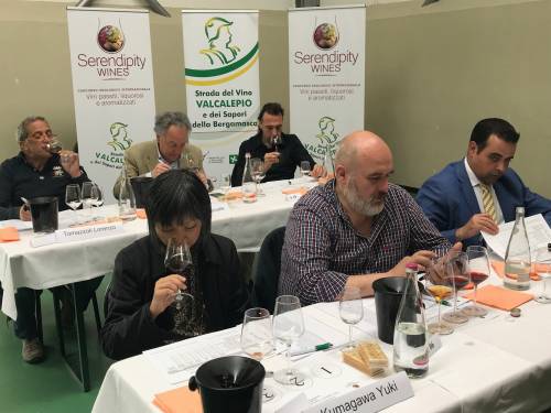novost medalje u italiji za neobična vina iz srbije vinski magazin vino fino