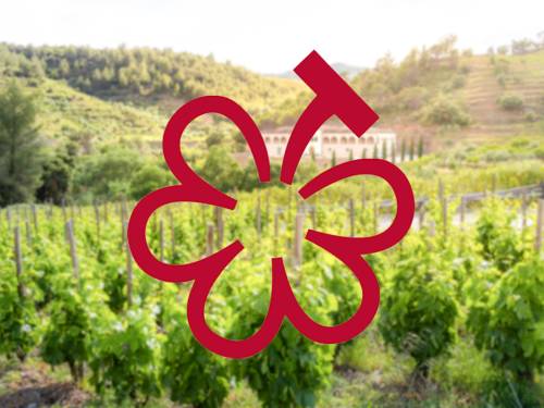 novost mišlen počinje da ocenjuje vinarije širom sveta vinski magazin vino fino