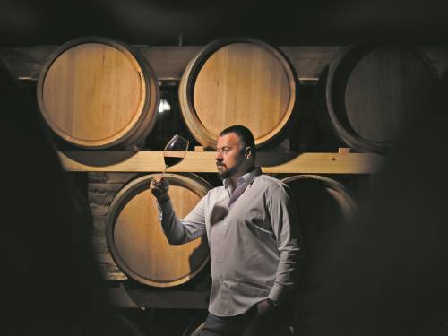 novost najbolji ambasadori hercegovine vinski magazin vino fino