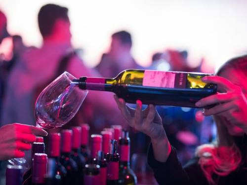 novost najbolji prokupci srbije na okupu u beton hali vinski magazin vino fino