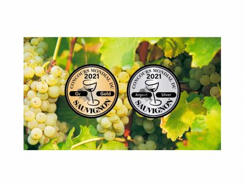 novost najbolji sovinjon blan dolazi iz južne afrike vinski magazin vino fino