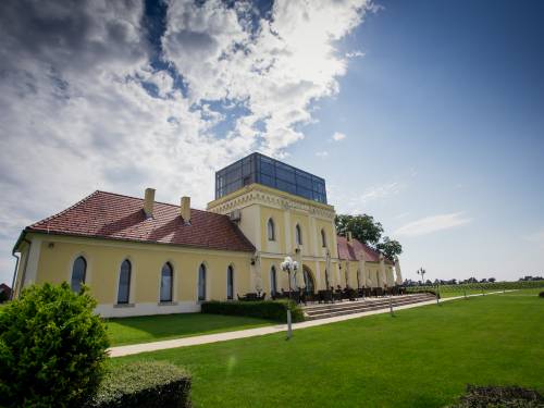 novost najbolji traminci sveta stižu u ilok vinski magazin vino fino