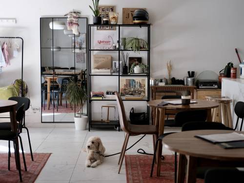 novost noku espresso more kafeterija sa toplinom doma vinski magazin vino fino