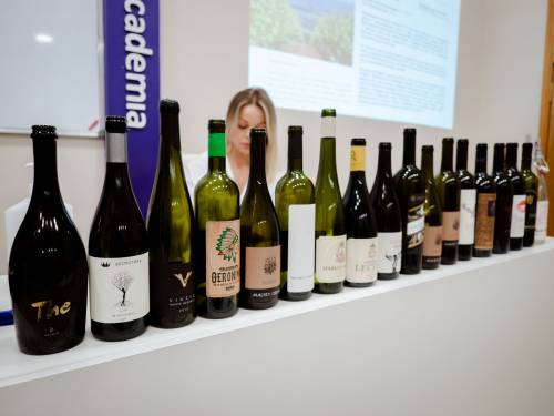 novost novi putevi za srpska vina vinski magazin vino fino