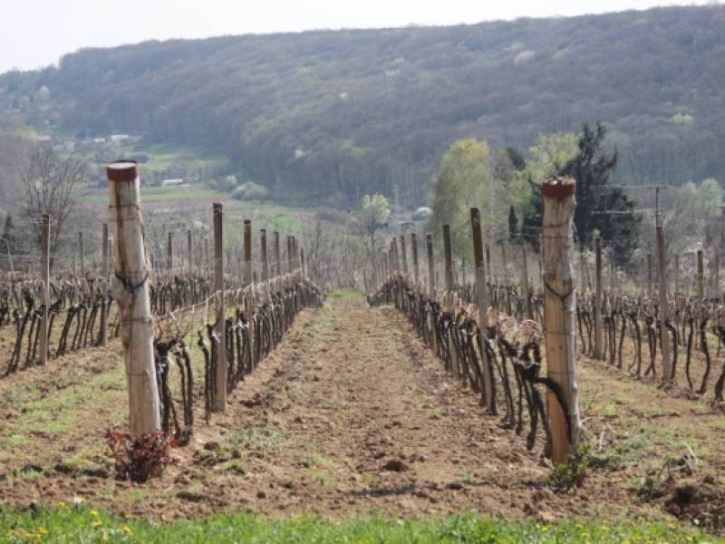 novost novinari i somelijeri posetili vinariju in vinski magazin vino fino