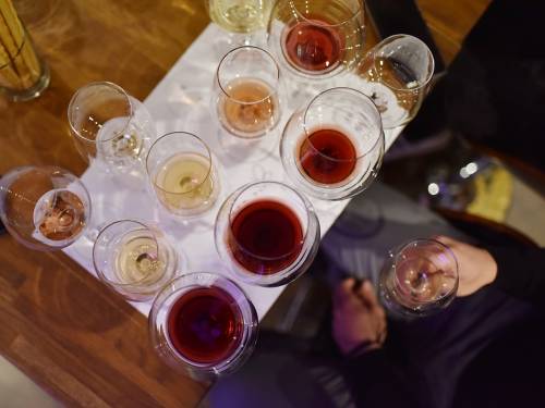 novost novo iz banoštora degustacija vina bikicki vinski magazin vino fino