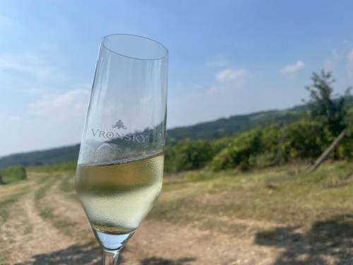 novost novo lice rubina vinski magazin vino fino