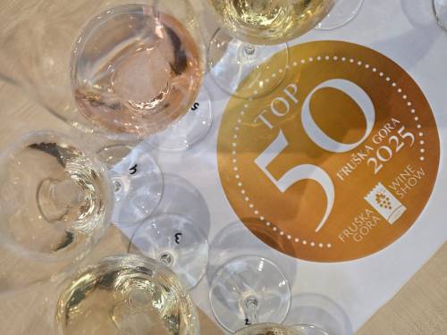 novost odabrano pedeset izvrsnih vina sa fruške gore vinski magazin vino fino