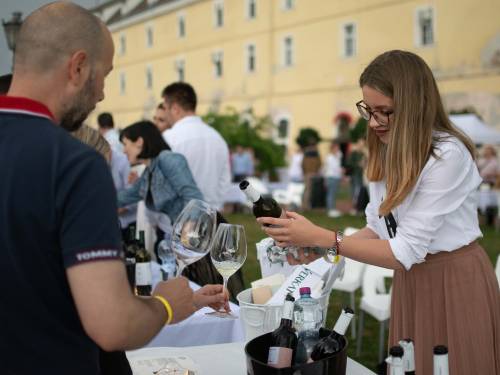 novost odlaže se festival grašca na petrovaradinskoj tvrđavi vinski magazin vino fino