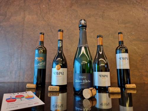 novost održana degustacija pet sjajnih međimurskih vina vinski magazin vino fino