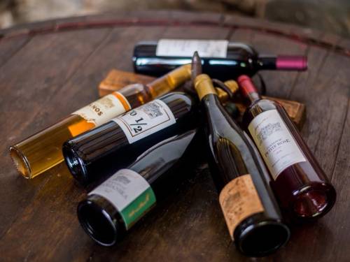 novost organski sertifikat za vina vinarije ivanoviĆ vinski magazin vino fino