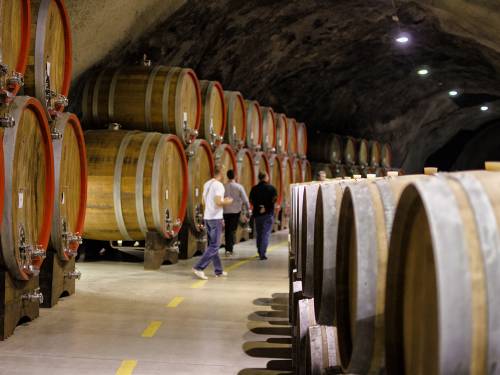 novost osam medalja na biwc za vina iz plantaža vinski magazin vino fino