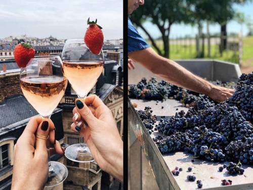 novost ovako influenseri fotografišu vino vinski magazin vino fino