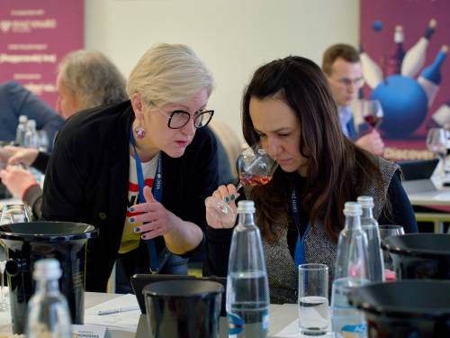 novost pet medalja u Češkoj za frankovke iz srbije vinski magazin vino fino