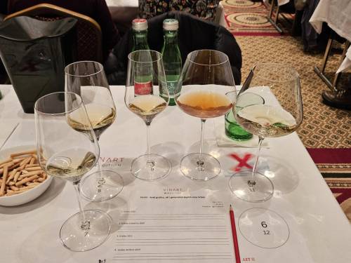 novost pet sjajnih srpskih grašaca predstavljeno u zagrebu vinski magazin vino fino