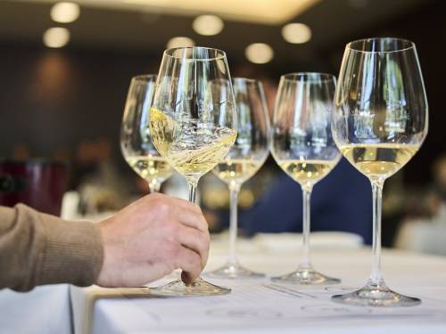 novost poreč spreman za vinistru vinski magazin vino fino
