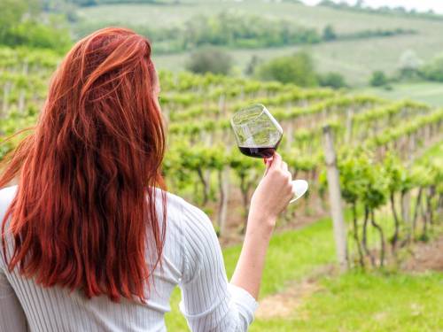 novost priča o vinarkama koje menjaju lice svog poziva vinski magazin vino fino