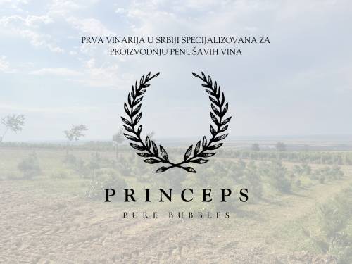 novost princeps prva srpska vinarija posvećena penušavcima vinski magazin vino fino