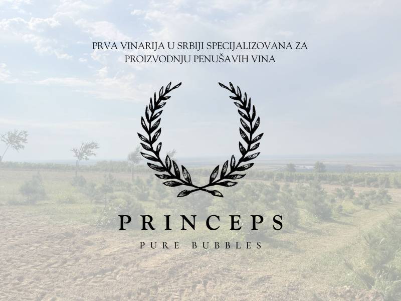 novost princeps prva srpska vinarija posvećena penušavcima vinski magazin vino fino
