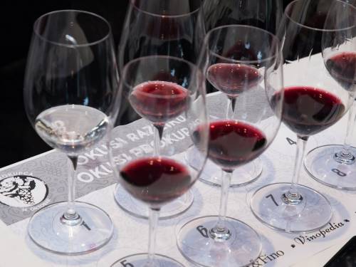 novost program dana prokupca - najbogatiji do sada vinski magazin vino fino