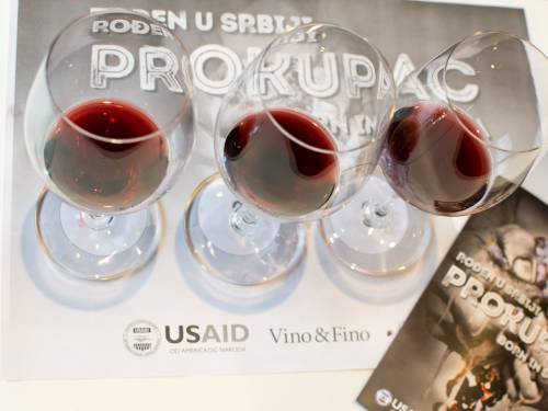novost prokupac je ponovo osvojio vinsku srbiju vinski magazin vino fino