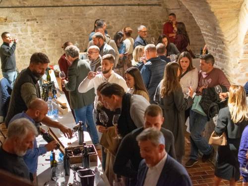 novost prokupac u punom sjaju vinski magazin vino fino