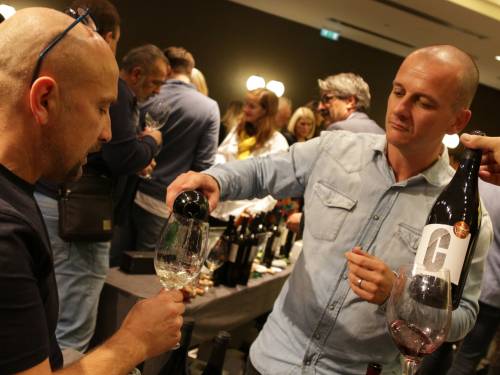 novost prva regionala pogled u lokalnu vinsku baštinu vinski magazin vino fino