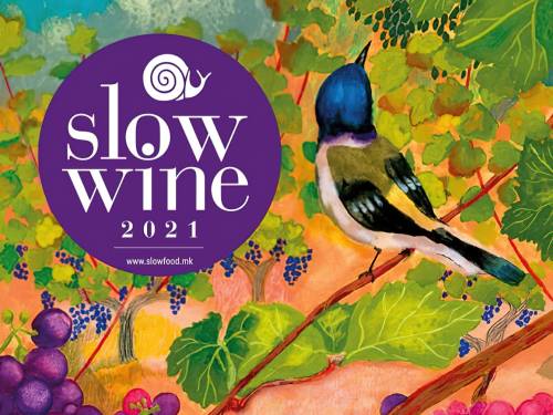 novost prvi slow wine vodič kroz severnu makedoniju vinski magazin vino fino