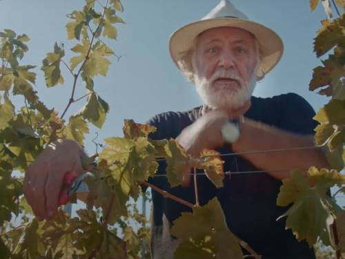 novost rade Šerbedžija - specijalni gost grand tastinga vinski magazin vino fino