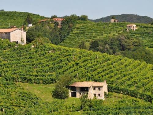novost regija proseko na unesco listi svetske baštine vinski magazin vino fino