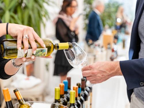 novost salon vina u znaku mimoza vinski magazin vino fino
