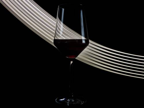 novost Širaz sudar svetova u srpskim vinogradima vinski magazin vino fino