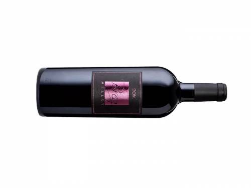 novost Šta se valja iza topliČkog brega vinski magazin vino fino