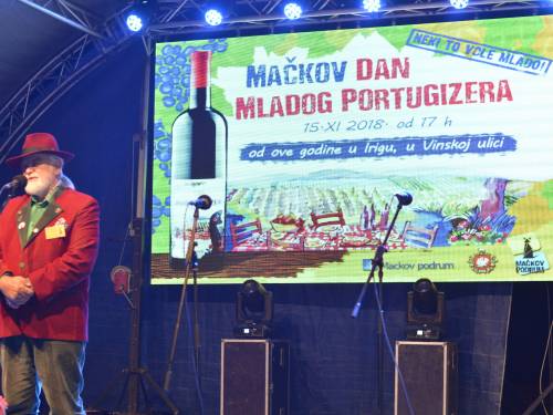 novost stiže mladi portugizer vinski magazin vino fino