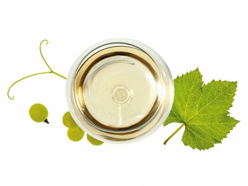 novost sva lica belog sovinjona vinski magazin vino fino