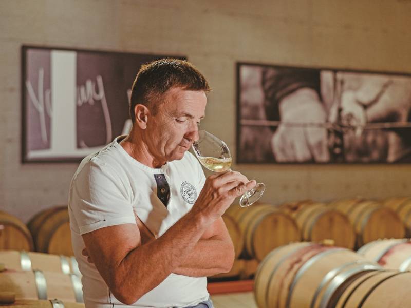 novost teran - sledeĆa velika stvar vinski magazin vino fino