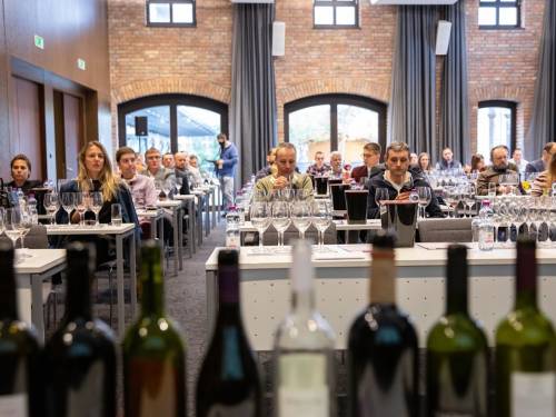 novost teroar u fokusu bliži se konferencija o prokupcu vinski magazin vino fino