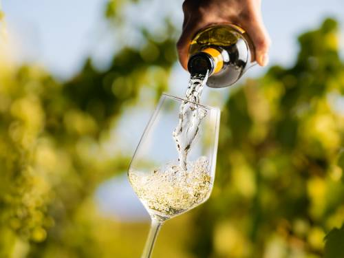 novost traminac egzotični voćni oblak u čaši vinski magazin vino fino