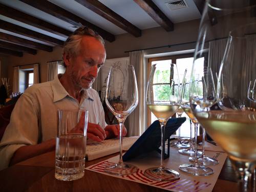 novost tražite šansu u autohtonim sortama vinski magazin vino fino