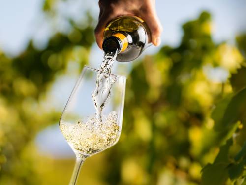 novost trebinje poziva na sedmi salon žilavke vinski magazin vino fino