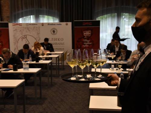 novost trofeji i velika zlata za srpska vina vinski magazin vino fino