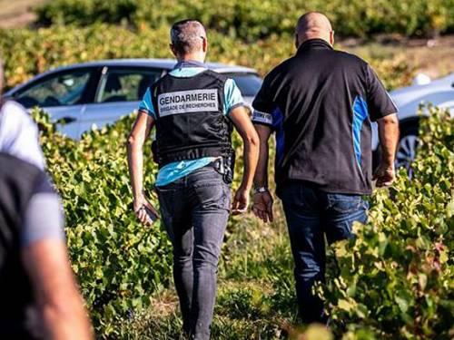 novost u francuskim vinogradima radili robovi iz bugarske vinski magazin vino fino
