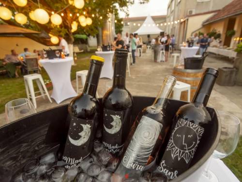 novost velika letnja žurka u vinariji do kraja sveta vinski magazin vino fino